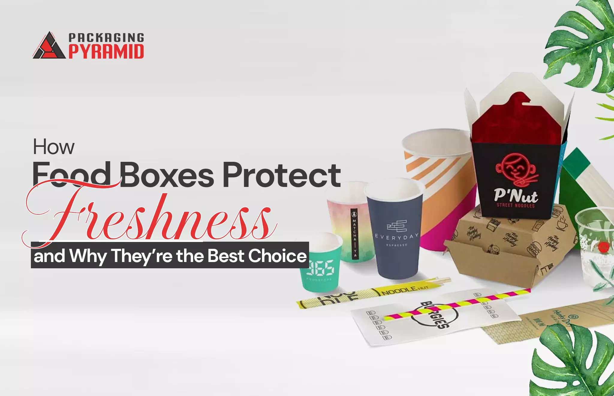 Packaging Boxes How Food Boxes Protect Freshness and Why They’re the Best Choice